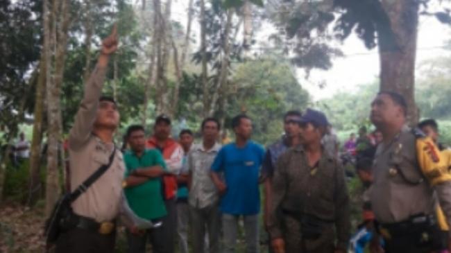 Heboh ! Warga Pulau Jambu Ditemukan Tewas Gantung Diri di Pohon Rambutan