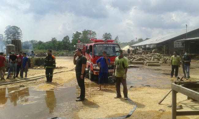 Polisi Masih Selidiki Penyebab Kebakaran di PT. Rubber Wood Industries Indo Siak Hulu