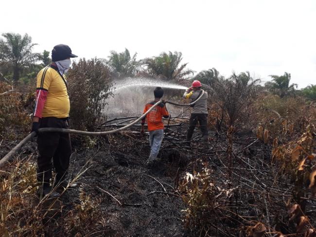 Tni, Polri dan Manggala Agni Terus Berupaya Padamkan Api di Lahan Gambut