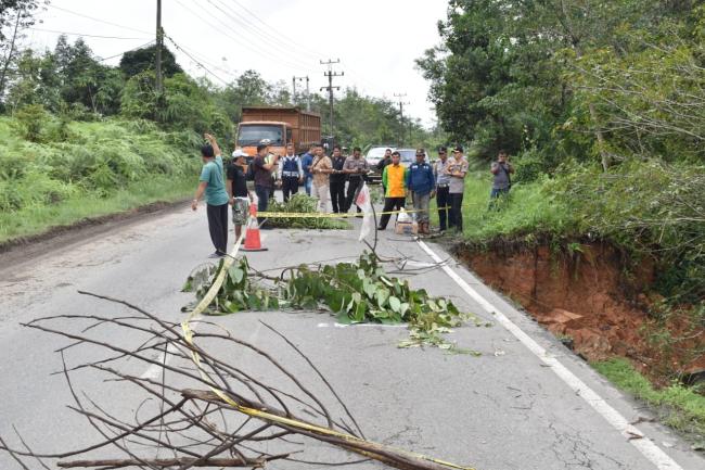 Bahu Jalan di Km 91 Lintas Riau - Sumbar Amblas, Kapolres Kampar Minta Pihak Terkait Segera Lakukan 