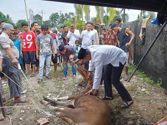 Kapolres Kampar Sembelih Sendiri Hewan Kurbannya