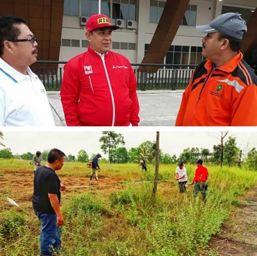 Sabtu Ini PWI Riau Akan Adakan Penanaman 500 Bibit Pohon di Stadion Utama