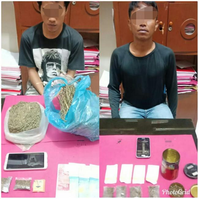 2 Gembong Narkoba Jenis Daun Ganja Kering Diringkus Satresnarkoba Polres Kampar 