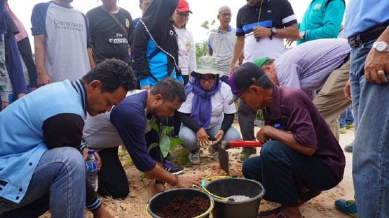 Bersama RAPP, Warga Pelalawan Manfaatkan Lahan untuk Tanam Pohon