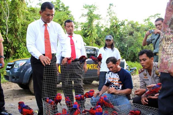 Polisi Gagalkan Upaya Penyelundupan 1.000 Ekor Burung Langka