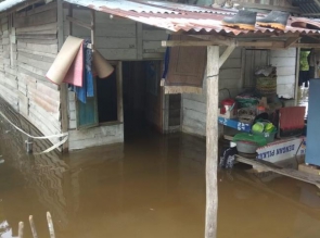 Banjir Rendam Lahan Pertanian Masyarakat Dikampar