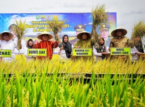 Hanya Siak Yang Sudah Jalankan Zakat Hasil Pertanian, Pertama Kali di Indonesia
