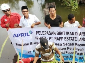 PT RAPP Lepas Ribuan Bibit Ikan Di Sungai Segati
