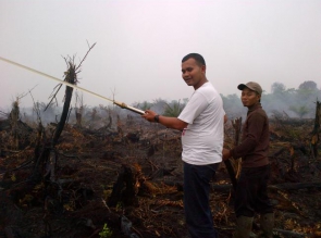 BRG Buka Pos Pengaduan Masyarakat di Riau