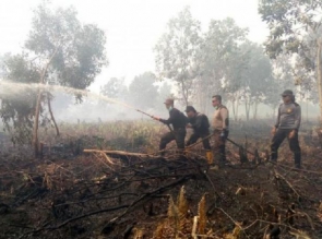 Ada 9 Titik Hot Spot Kebakaran Hutan di Riau
