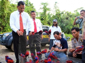 Polisi Gagalkan Upaya Penyelundupan 1.000 Ekor Burung Langka