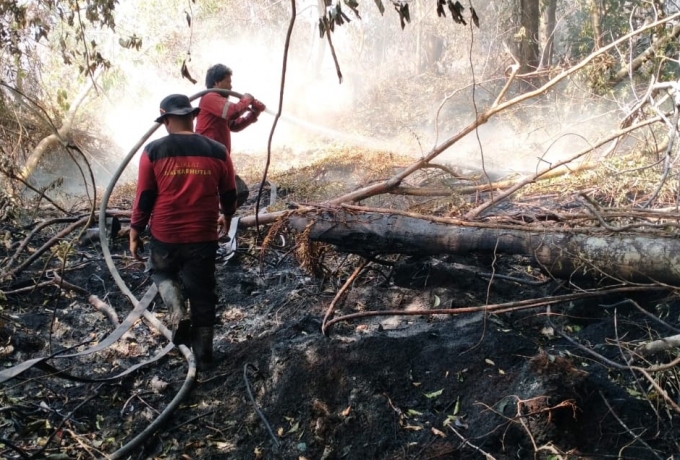 Bantu Padamkan Karhutla, PT RAPP Kerahkan Tim Fire Fighter di 5 Lokasi di Siak