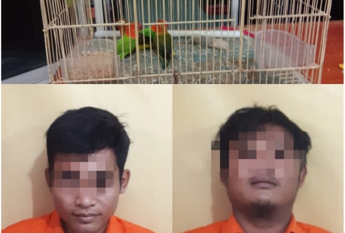 Polsek Tapung Tangkap Dua Pelaku Pencurian Toko Burung di Desa Petapahan