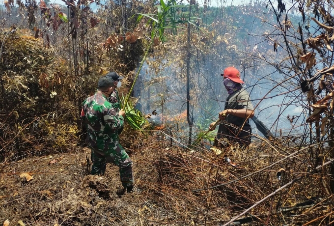 Meski Terbatas Peralatan, Babinsa Bantu Warga Padamkan Api Kebakaran Lahan di Desa Kumain