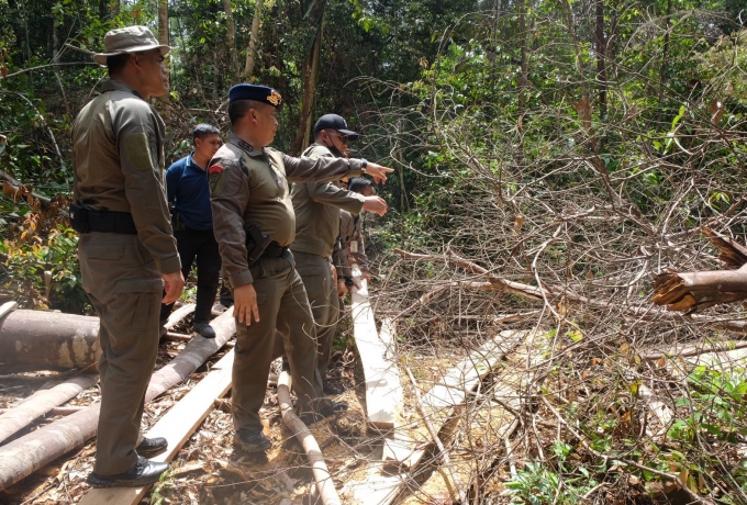 Kapolda Riau Perambahan Hutan Pada Cagar Biosfer Adalah Tindak Kriminal Yang Harus Dihentikan