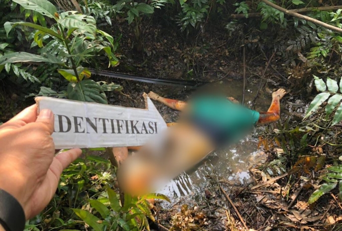 Warga Digegerkan dengan Penemuan Mayat Wanita Tanpa Identitas di Kebun Sawit