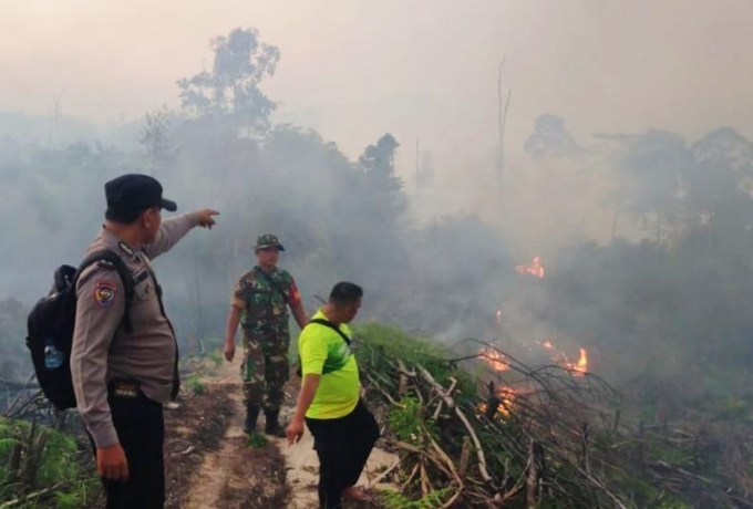 Karhutla Mulai Terjadi di Kabupaten Rokan Hulu, Riau