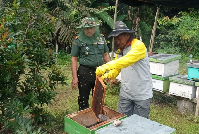 Danramil 06 Siak Hulu Panen Madu Lebah Bersama Warga Di Desa Sialang Kubang