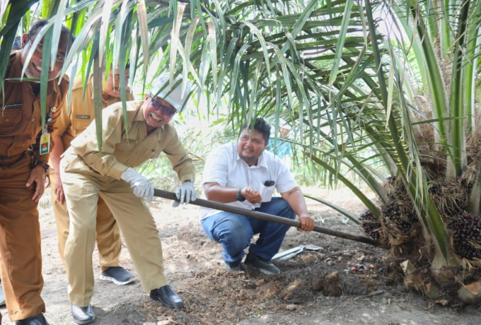 Sekda Arfan Apresiasi Panen Perdana Program PSR dari PTPN V