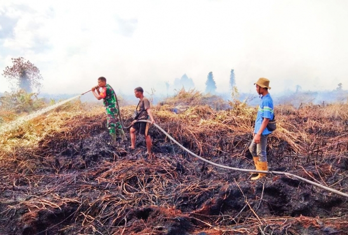 Puluhan Hektar Lahan Gambut di Rokan Hulu Riau Kembali Terbakar, Petugas Gabungan Turun 