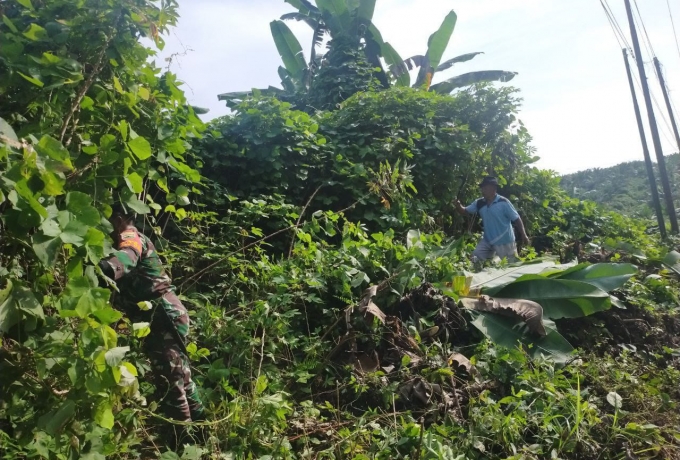 Gotong Royong, Bentuk Kepedulian Babinsa Koramil 16/Tapung Bersama Warga Terhadap Lingkungan