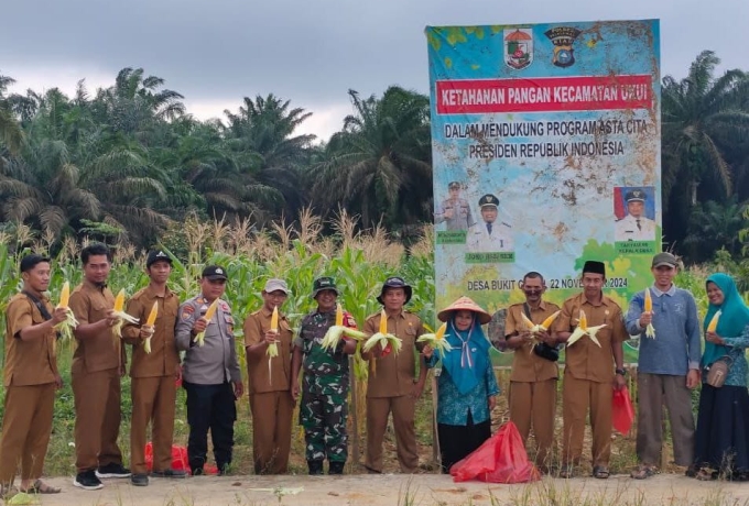 Dukung Program Hanpangan RTH Babinsa Hadiri Panen Pertama Jagung Manis