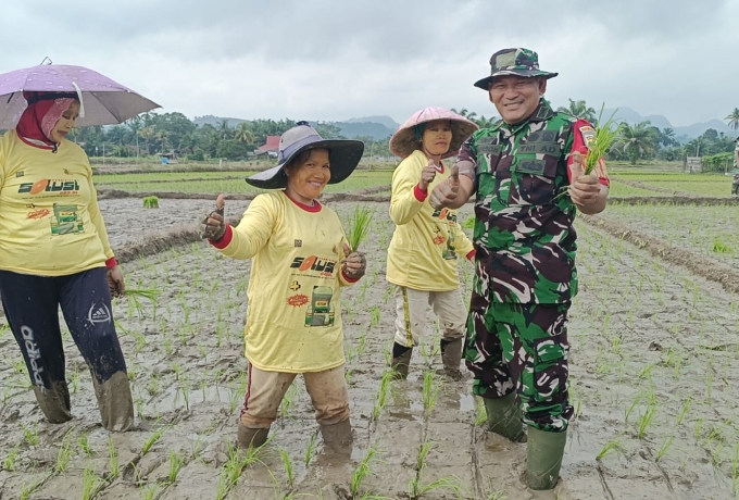 Dukung Percepatan Tanam Padi Sawah, Danramil 13/Rkn IV Koto Terjun Langsung Ke Lapangan