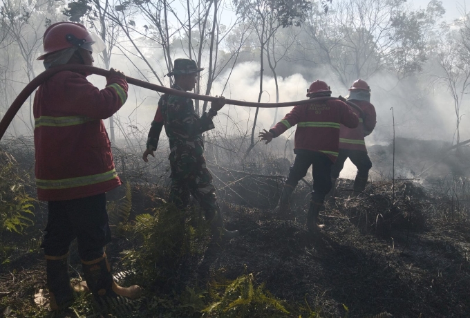 Gerak Cepat Babinsa Koramil 01/Bkn dan Bhabinkamtibmas Padamkan Kebakaran Lahan Milik Warga