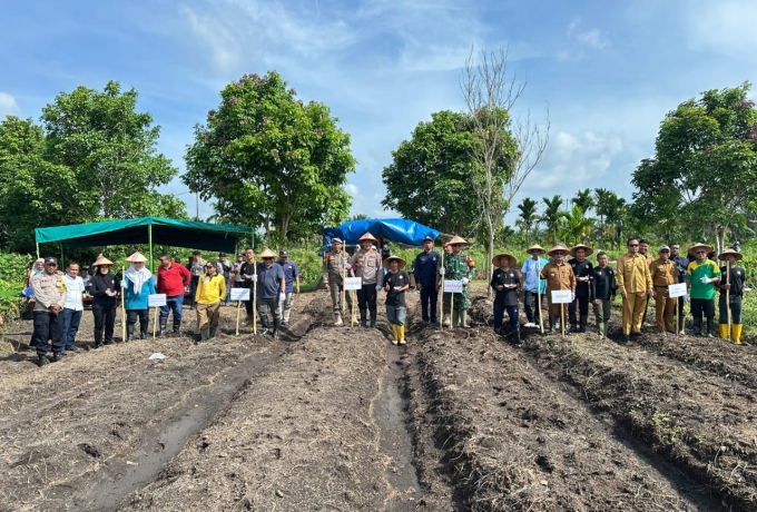 Wujudkan Ketahanan Pangan Nasional, Babinsa Koramil 06 Siak Hulu Tanam Jagung Bersama Warga