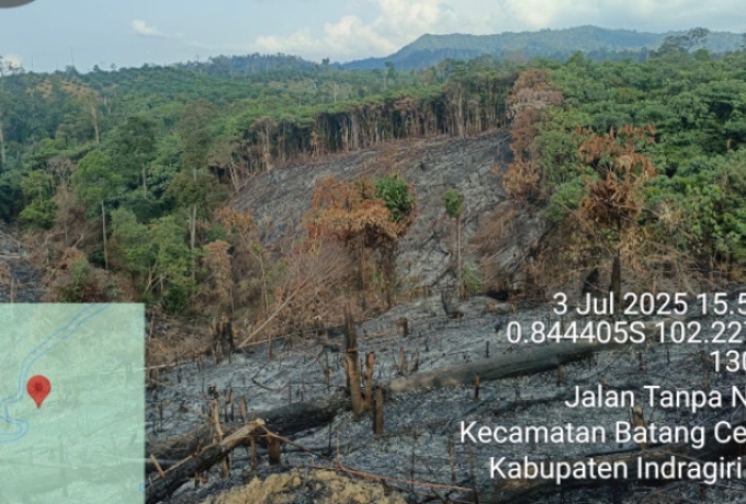 Polisi Amankan Dugaan Pelaku Pembakaran Lahan di Indragiri Hulu