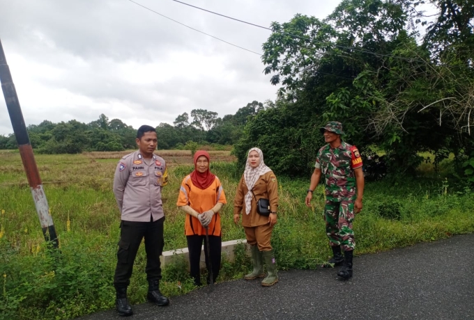 Dongkrak Hanpangan, Babinsa Koramil 07/Kampar Cek Lokasi Persawahan Tadah Hujan