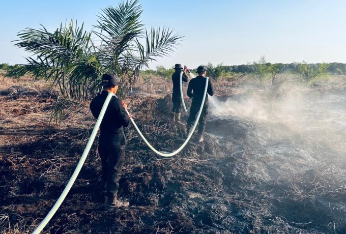 Kebakaran Hutan, Brimob Polda Riau Turun Padamkan Api