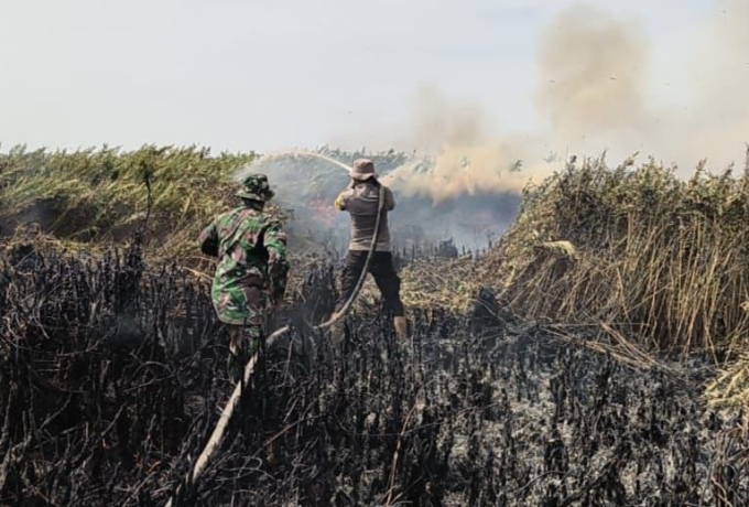 Karhutla, Peltu M. Sitepu Hingga Sampai saat Ini Kami Melakukan Pendinginan