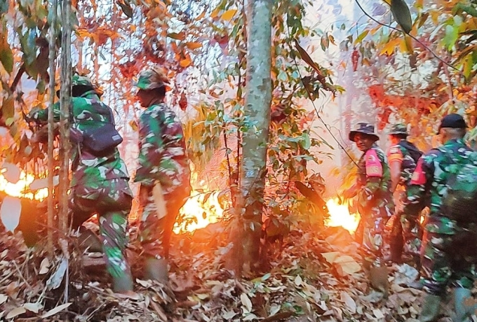 Hutan Diperbukitan Terbakar, Petugas dari Kodim 0313/KPR Melakukan Pemadaman