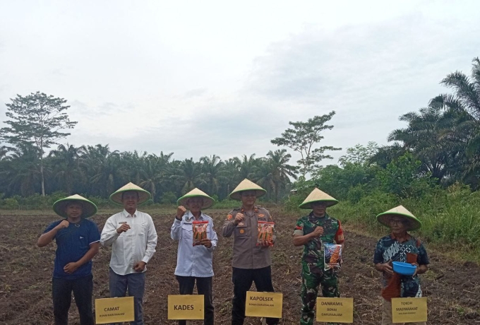 Babinsa Koramil 10 Kunto Darussalam Koptu Jantri Istani Hadiri Kegiatan Tanam Jagung