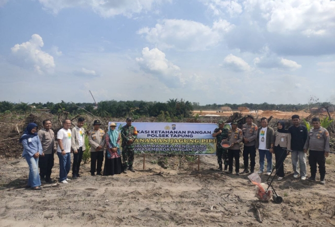 Komitmen Dukung Ketahanan Pangan, Danramil 16/Tapung Bersama Kapolsek Tanam Jagung Pipil