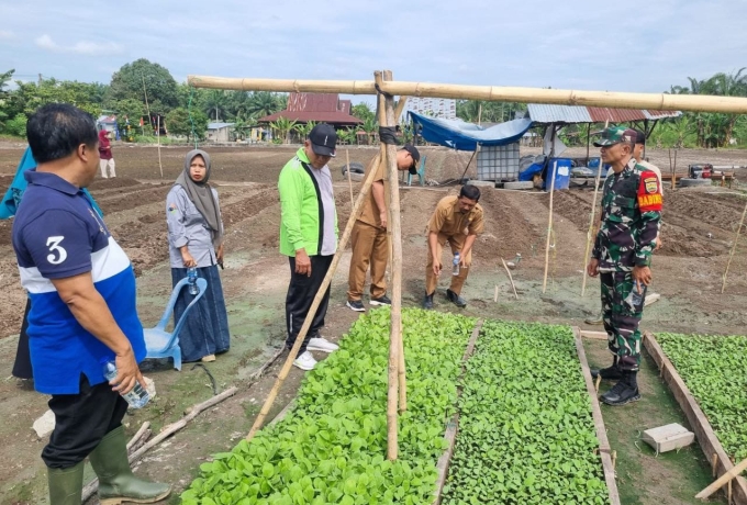 Dukung Pemerintah Meningkatkan Produksi Pangan, Babinsa Koramil 16/Tapung Bersama Warga Tanam Jagung