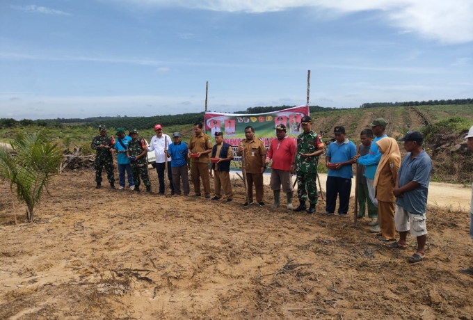 Babinsa Kecamatan Ukui Hadiri Penanaman Perdana Padi Gogo di Lahan KUD Sumber Bahagia