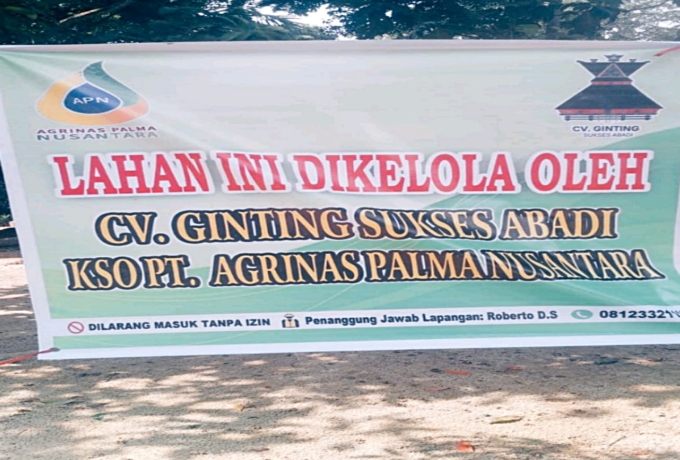 Warga Resah, Kelompok Mengatasnamakan KSO PT Agrinas Palma Nusantara Panen Sawit Warga Tanpa Izin