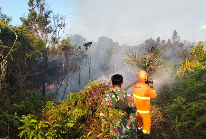 Babinsa Koramil 01/Bangkinang Bersama Damkar Padamkan Api Karhutla di Desa Salo Timur 