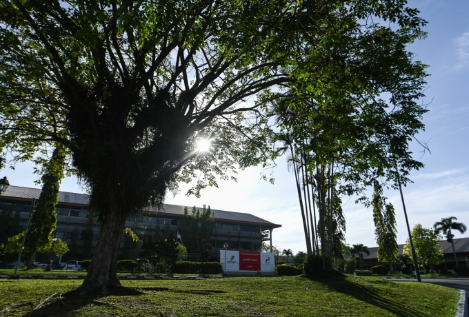 Asrinya Hutan Rumbai PHR, Menjadi Simbol Warisan Alam Yang Harmoni