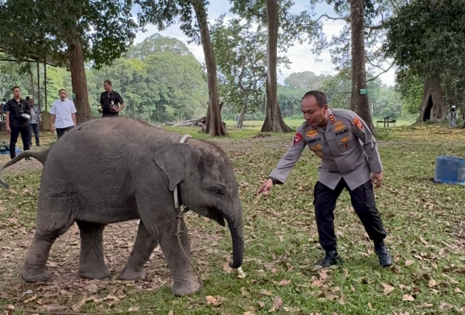 Irjen Herry Heryawan Kunjungi TWA Buluh Cina, Dorong Sinergi Penegakan Hukum Lingkungan