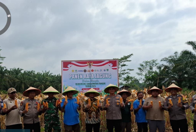 Koptu Jantri Istani Hadiri Panen Jagung di Kabupaten Rokan Hulu