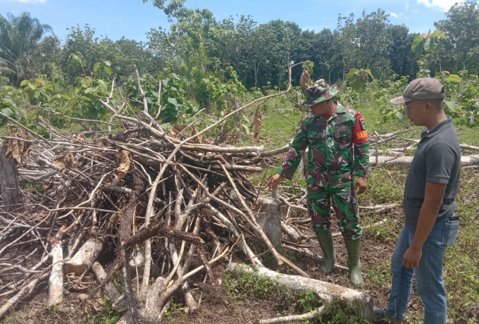 Babinsa Laksanakan Sosialisasi di kebun Masyarakat Cegah karhutla 