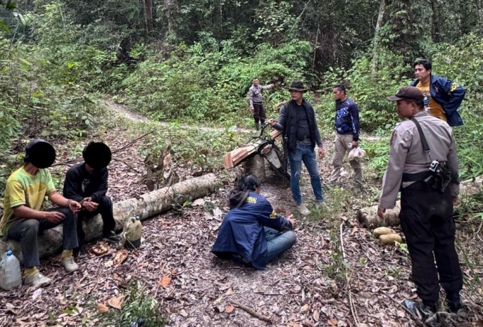 Polsek Singingi Hilir Ungkap Illegal Logging di Suaka Margasatwa Rimbang Baling