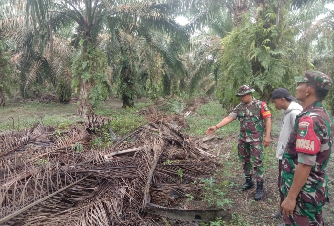 Babinsa Sosialisasi di Kebun Masyarakat Cegah Karhutla 