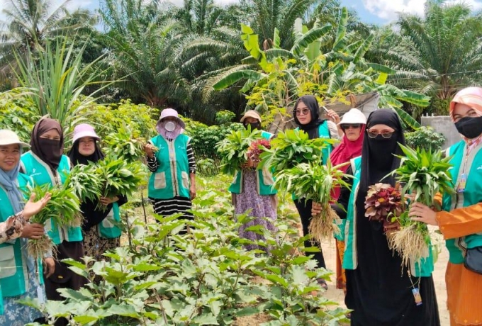 Dari Lahan Mati Jadi Apotek Hidup: Kisah Murni Menjaga Warisan Kesehatan Dunia di Duri