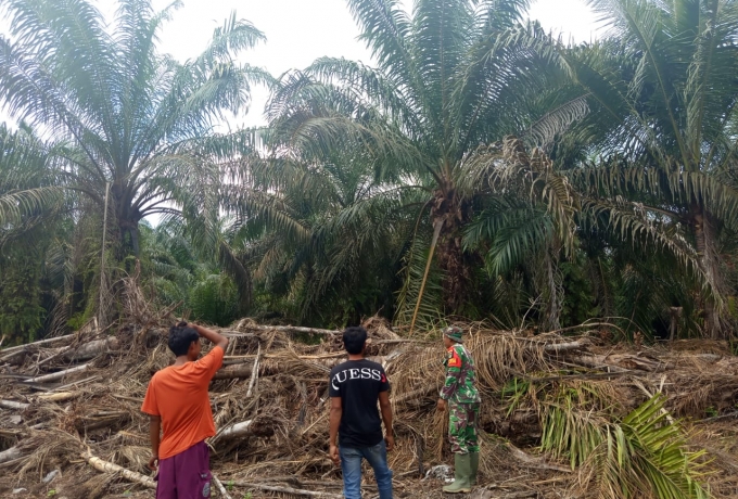 Babinsa Laksanakan patroli di Kebun Masyarakat Cegah Karhutla