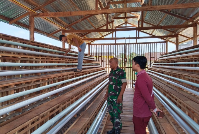 Babinsa Pantau Pembuatan Kandang Ayam Petelur Demi Sukseskan Program Ketahanan Pangan