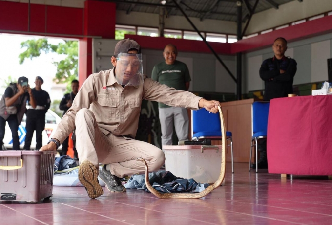 Tingkatkan Respons Cepat di Lapangan, Brimob Riau Gelar Latihan Khusus Hewan Berbisa